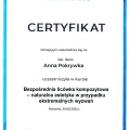 Powiększ obraz: certificate 7