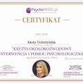 Powiększ obraz: certificate 9