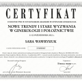 Powiększ obraz: certificate 5
