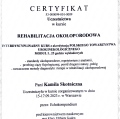 Powiększ obraz: certificate 12