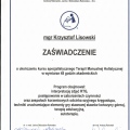 Powiększ obraz: certificate 4