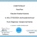 Powiększ obraz: certificate 4