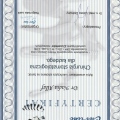 Powiększ obraz: certificate 5
