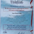 Powiększ obraz: certificate 2