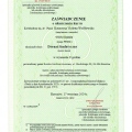 Powiększ obraz: certificate 13