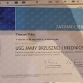 Powiększ obraz: certificate 1