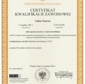 Powiększ obraz: certificate 6