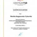 Powiększ obraz: certificate 2