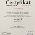 Powiększ obraz: certificate 2