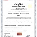 Powiększ obraz: certificate 27