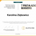 Powiększ obraz: certificate 17
