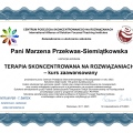 Powiększ obraz: certificate 5