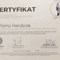Powiększ obraz: certificate 7