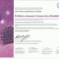 Powiększ obraz: certificate 10