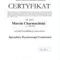 Powiększ obraz: certificate 2