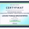 Powiększ obraz: certificate 65