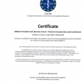 Powiększ obraz: certificate 14