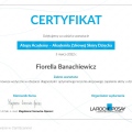 Powiększ obraz: certificate 3