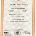 Powiększ obraz: certificate 2