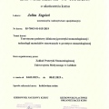 Powiększ obraz: certificate 7