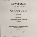 Powiększ obraz: certificate 2
