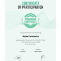 Powiększ obraz: certificate 8