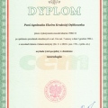 Powiększ obraz: certificate 1