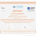 Powiększ obraz: certificate 4