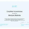 Powiększ obraz: certificate 1