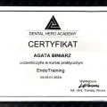 Powiększ obraz: certificate 2