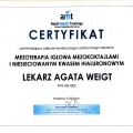 Powiększ obraz: certificate 4