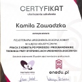 Powiększ obraz: certificate 6