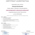 Powiększ obraz: certificate 9