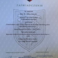 Powiększ obraz: certificate 11