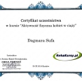 Powiększ obraz: certificate 8