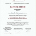 Powiększ obraz: certificate 9