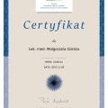 Powiększ obraz: certificate 1