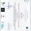 Powiększ obraz: certificate 7