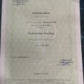 Powiększ obraz: certificate 4
