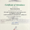 Powiększ obraz: certificate 15