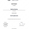 Powiększ obraz: certificate 10