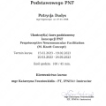 Powiększ obraz: certificate 8
