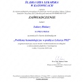 Powiększ obraz: certificate 233