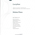 Powiększ obraz: certificate 17