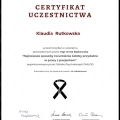 Powiększ obraz: certificate 4