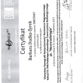 Powiększ obraz: certificate 13
