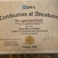 Powiększ obraz: certificate 1