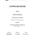 Powiększ obraz: certificate 16