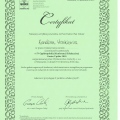 Powiększ obraz: certificate 43