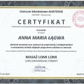 Powiększ obraz: certificate 8
